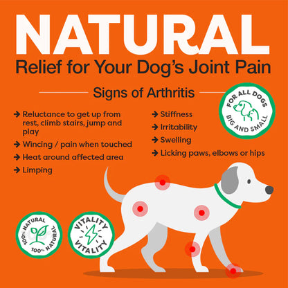 ROSEHIP Canine Vital Canine Powder For Dogs