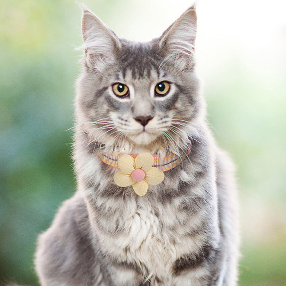 Pet Collar Personalised Engraved Cute Flower Design Adjustable
