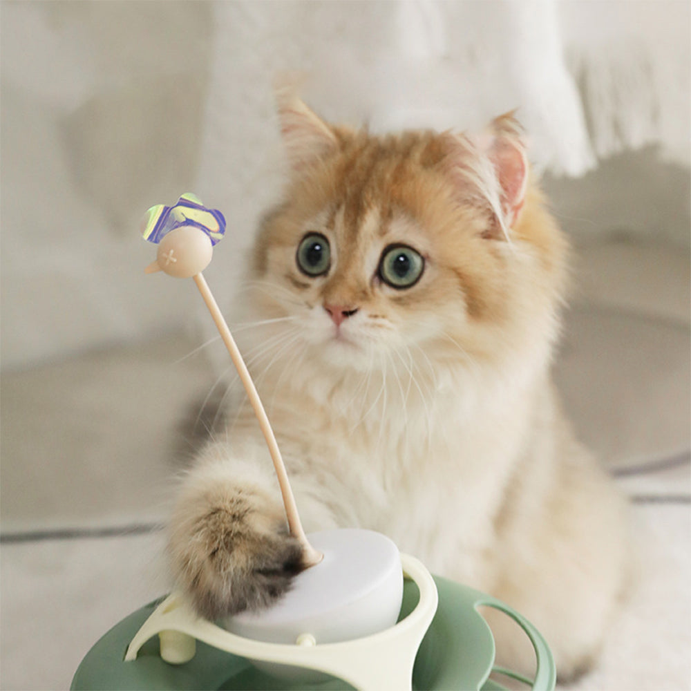 KARA PET Cat Turntable Toy With Balls