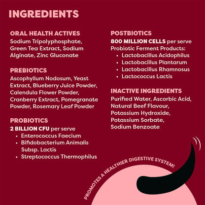 BELL & BONE Beef Dog Dental Topper 30ml