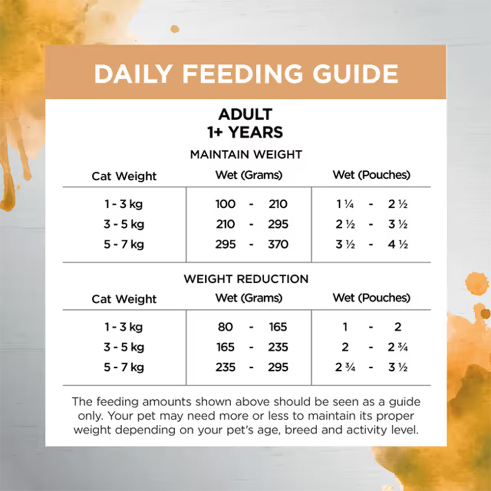 IVORY COAT Inspired By Raw Health & Vitality Wet Cat Food