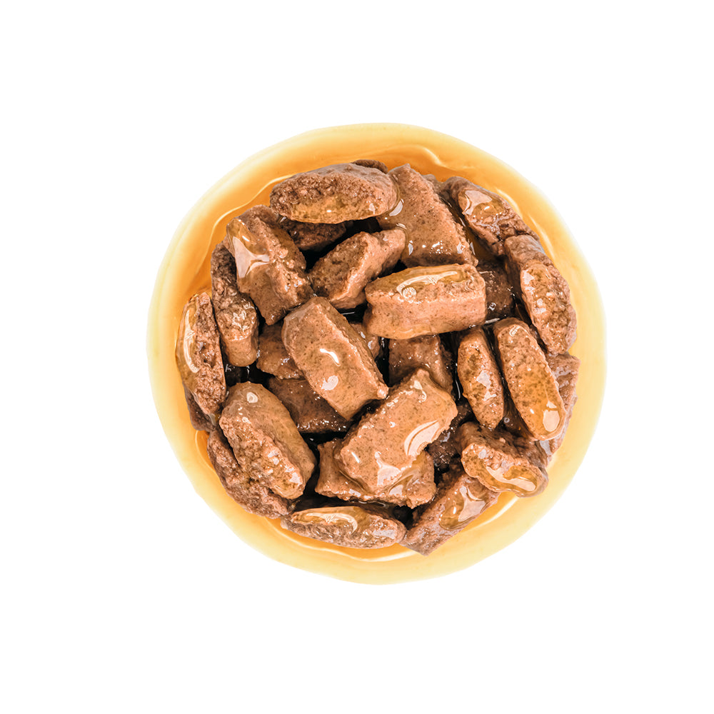 ROYAL CANIN Maxi Adult Wet Dog Food 140g x 10