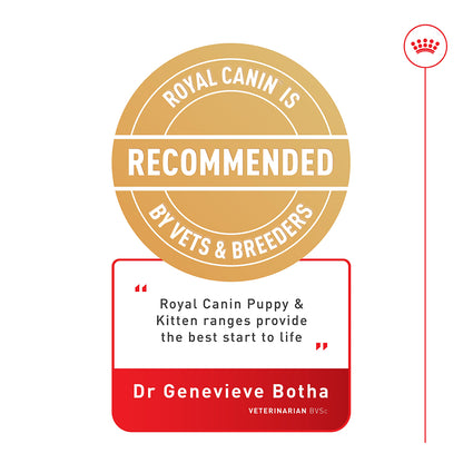 ROYAL CANIN Maxi Adult Wet Dog Food 140g x 10