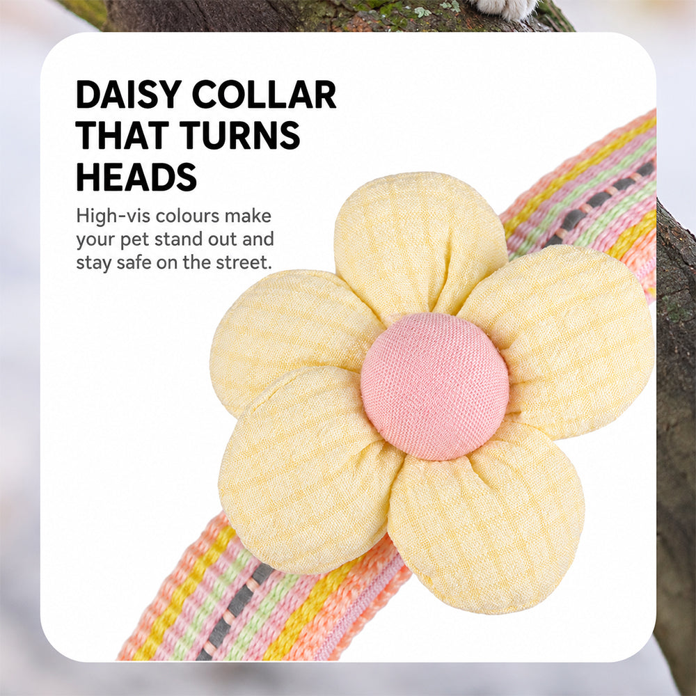 Pet Collar Personalised Engraved Cute Flower Design Adjustable