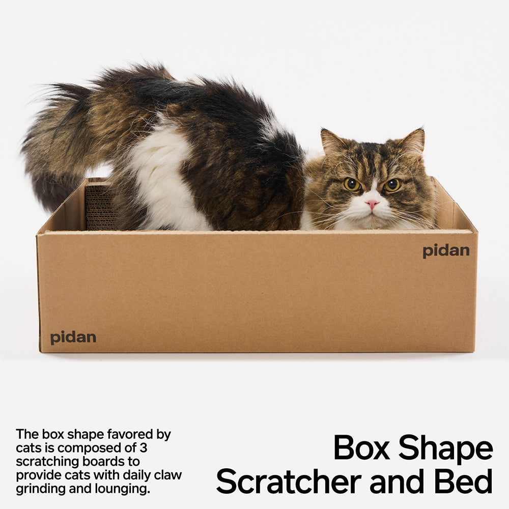 PIDAN Cat Scratcher Carton Type