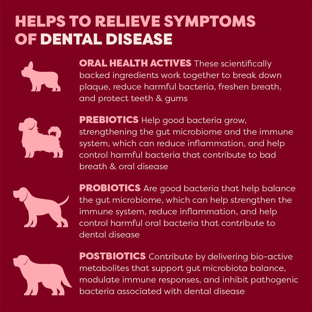 BELL & BONE Beef Dog Dental Topper 30ml