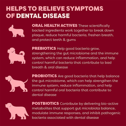 BELL & BONE Beef Dog Dental Topper 30ml