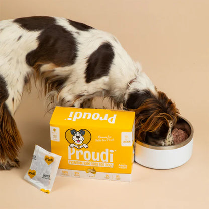 PROUDI Premium Frozen Chicken Raw Dog Food 2.4Kg