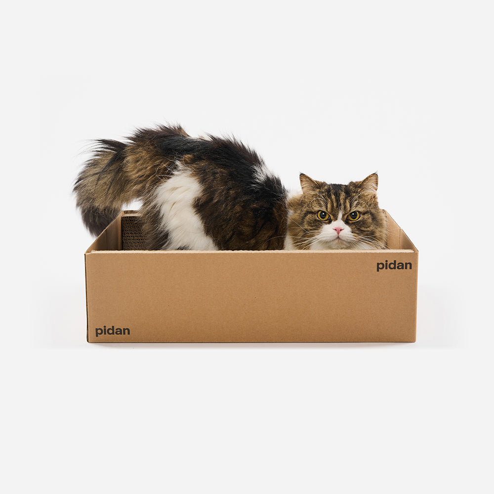 PIDAN Cat Scratcher Carton Type