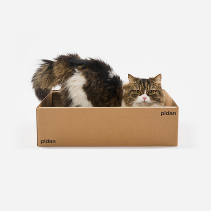 PIDAN Cat Scratcher Carton Type