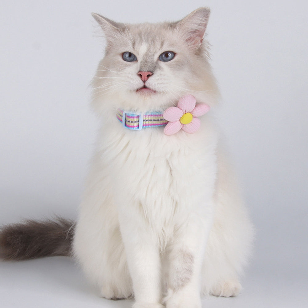 Pet Collar Personalised Engraved Cute Flower Design Adjustable