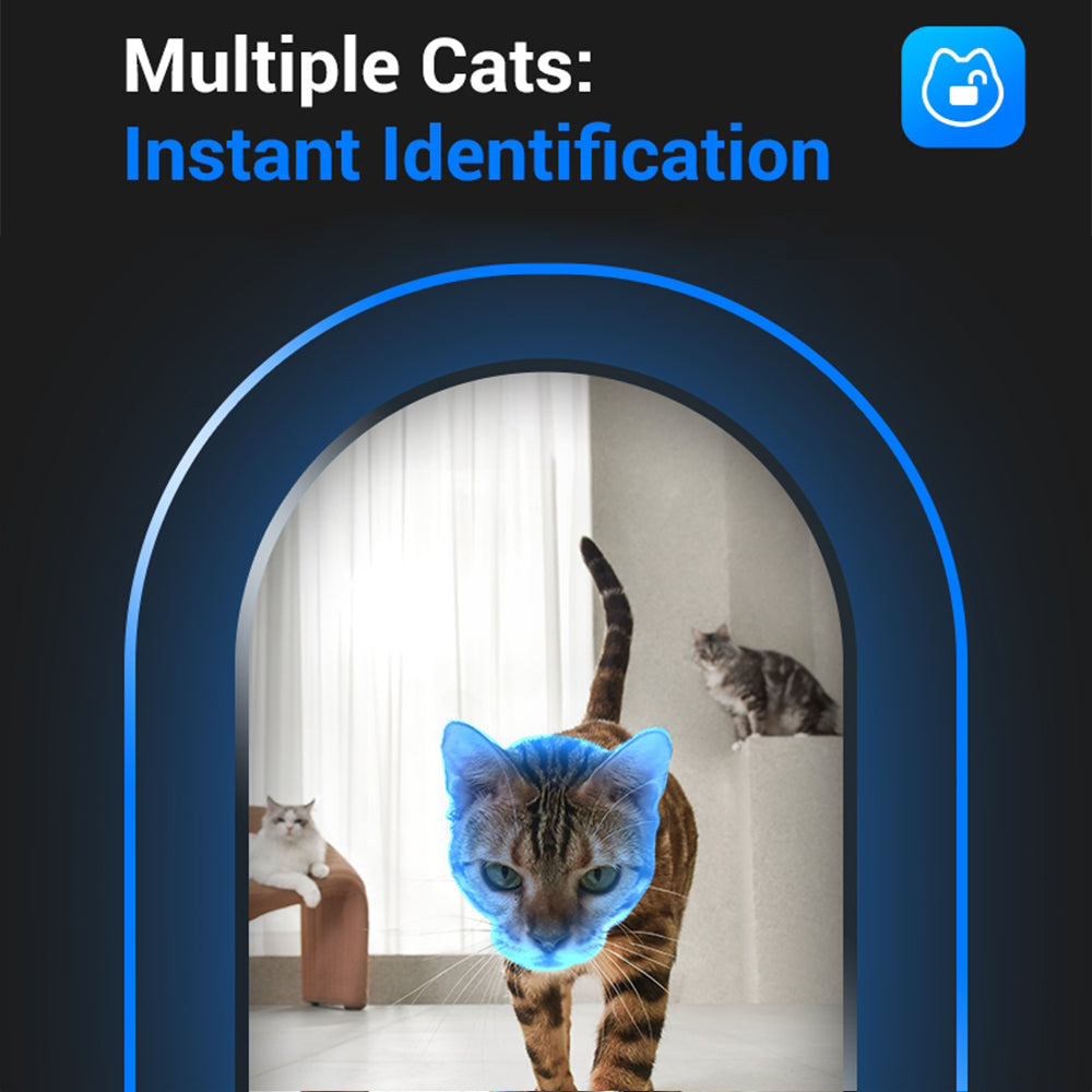 CATLINK F02 Cat Facial Recognition Smart Pet Feeder