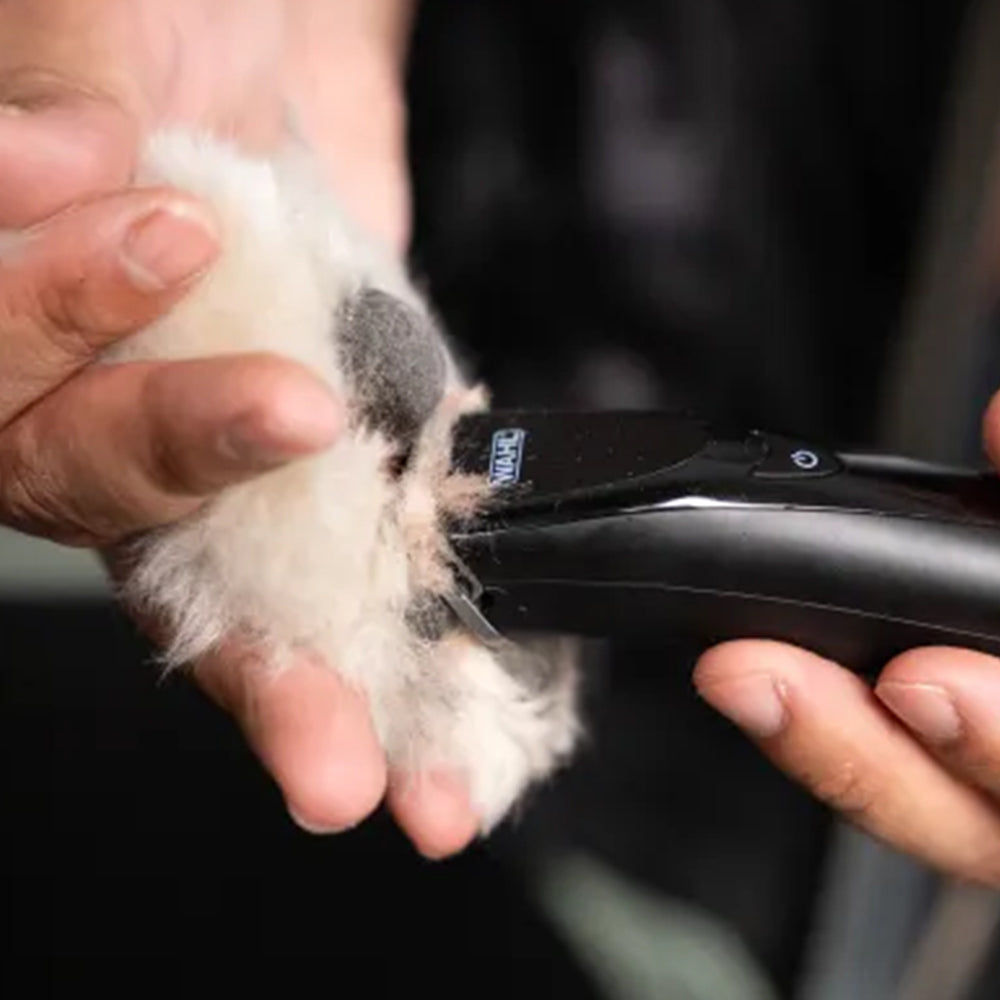 WAHL Fidela Trimmer