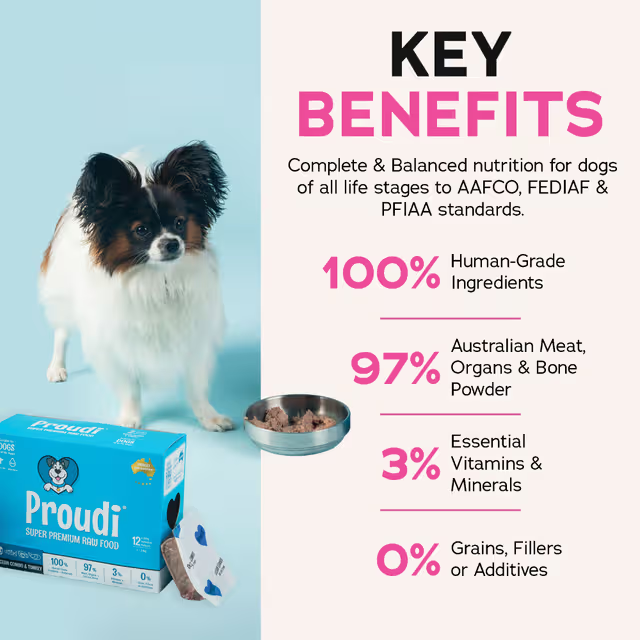 PROUDI Premium Frozen Ocean Combo & Turkey Raw Dog Food 2.4kg