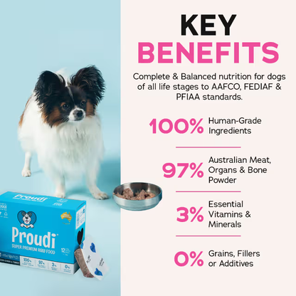 PROUDI Premium Frozen Ocean Combo & Turkey Raw Dog Food 2.4kg