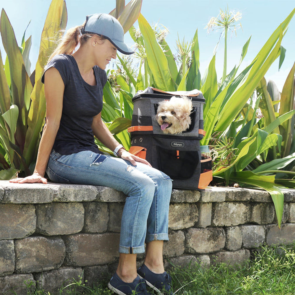 IBIYAYA Two Tier Backpack Pet Carrier