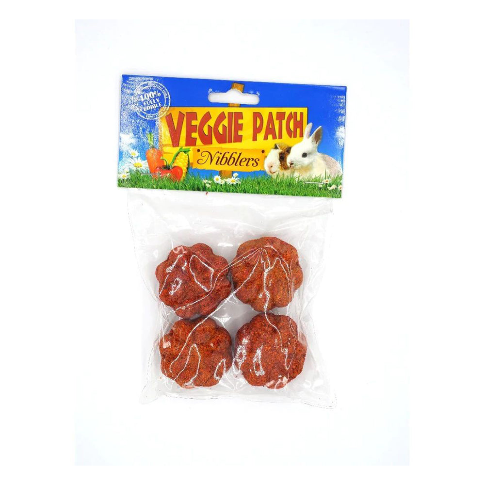 VEGGIE PATCH Mini Pumpkins Nibblers Small Animal Treats 4pcs