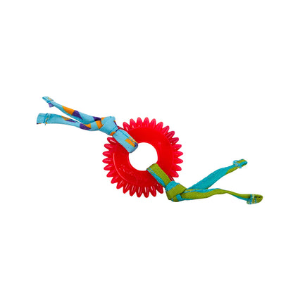 PETSTAGES Kitty Chew Wheel Cat Toy