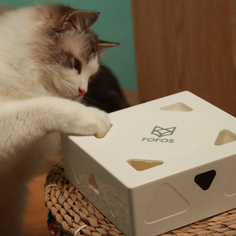 FOFOS ErratiCat Interactive PIR Cat Toy & Replacement