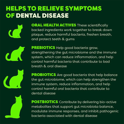 BELL & BONE Chicken Cat Dental Topper 30ml