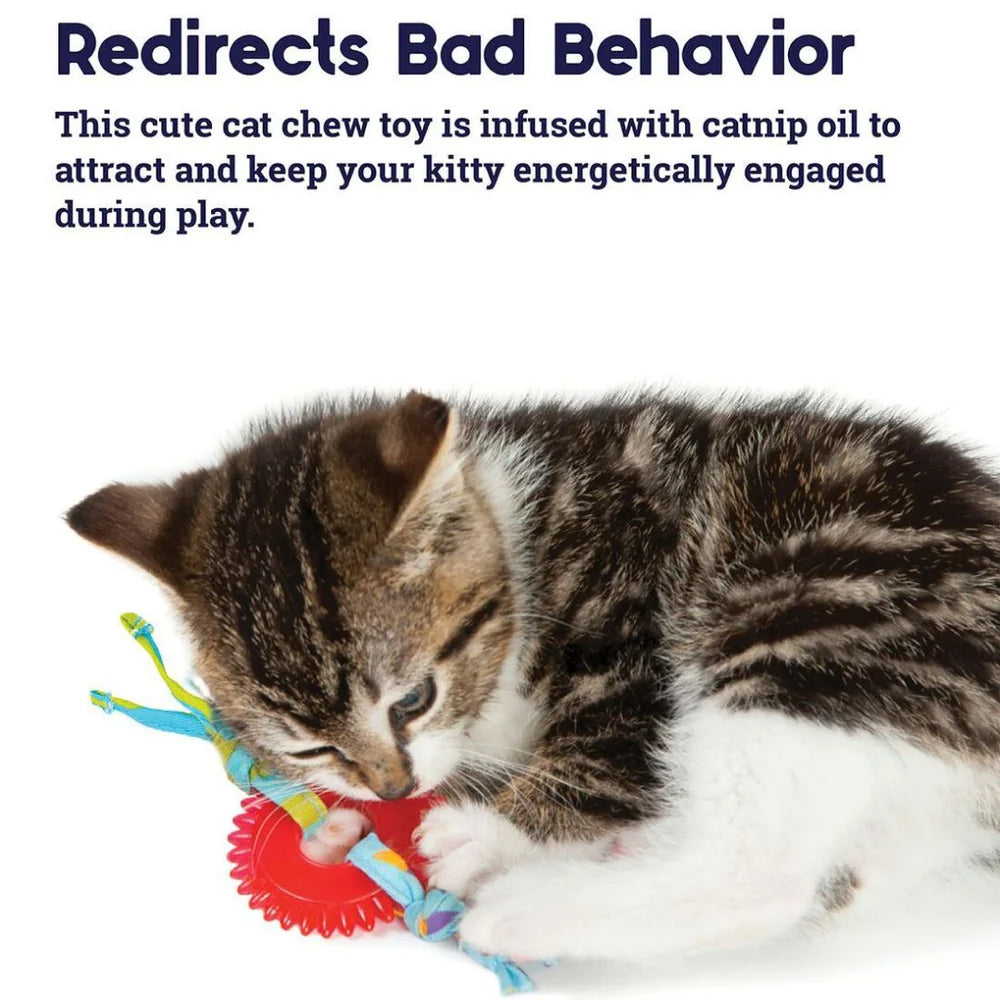 PETSTAGES Kitty Chew Wheel Cat Toy