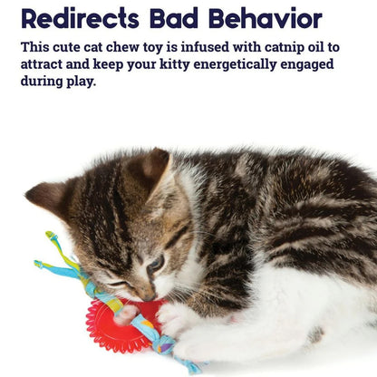 PETSTAGES Kitty Chew Wheel Cat Toy
