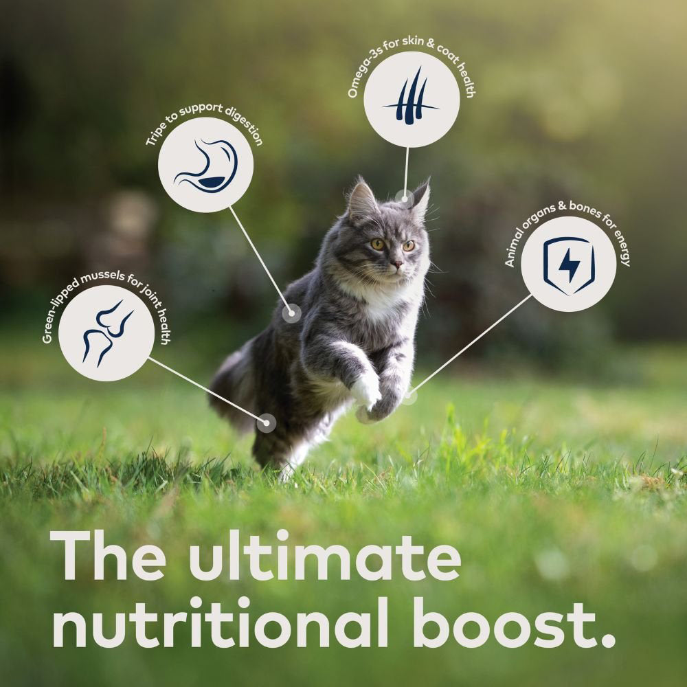 ZIWI Peak Chicken & Mackerel Wet Cat Food | All Life Stages