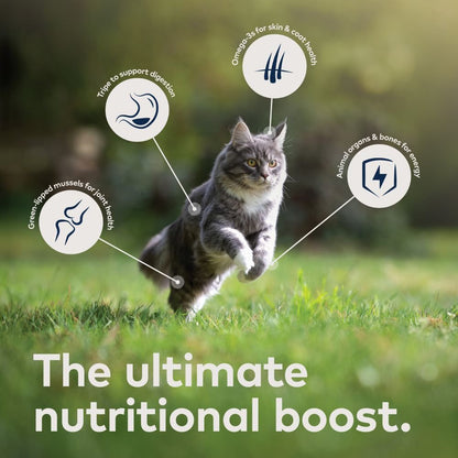 ZIWI Peak Chicken & Mackerel Wet Cat Food | All Life Stages