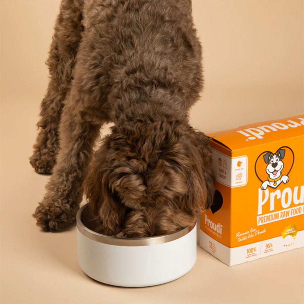 PROUDI Premium Frozen Turkey & Chicken Raw Dog Food 2.4Kg