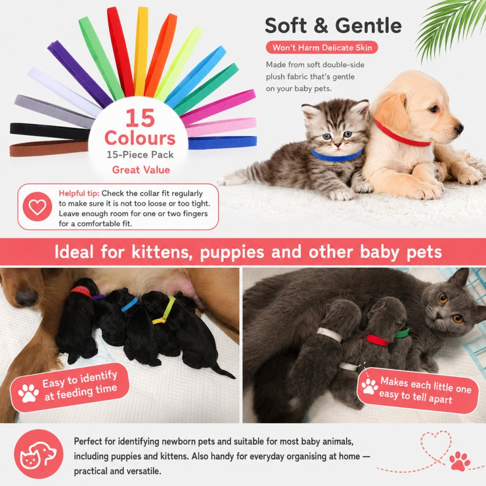 Pet ID Collar – 12 Colors for Puppies and Kittens