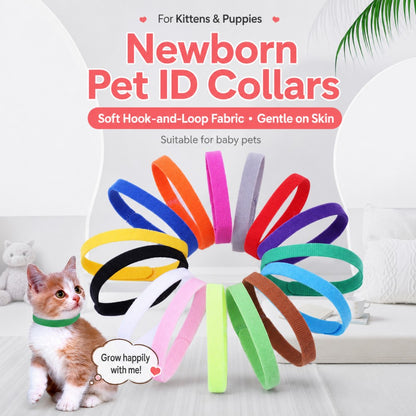 Pet ID Collar – 12 Colors for Puppies and Kittens