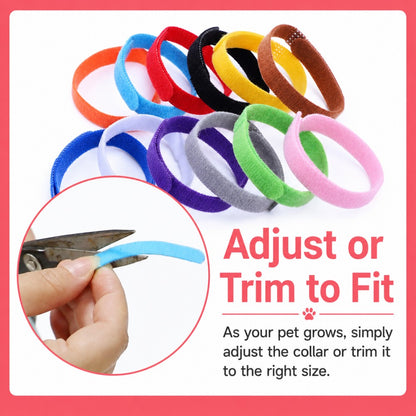 Pet ID Collar – 12 Colors for Puppies and Kittens