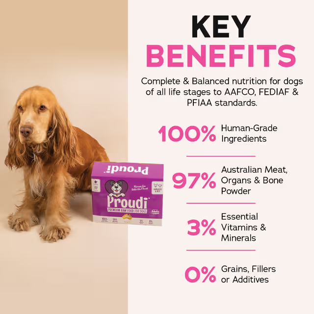 PROUDI Premium Frozen Kangaroo & Beef Raw Dog Food 2.4Kg