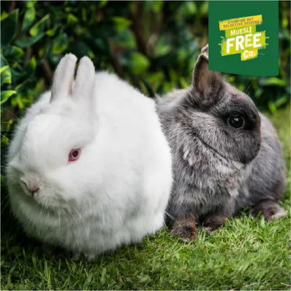 BURGESS Excel Junior and Dwarf Rabbit Nuggets with Mint 1.5kg