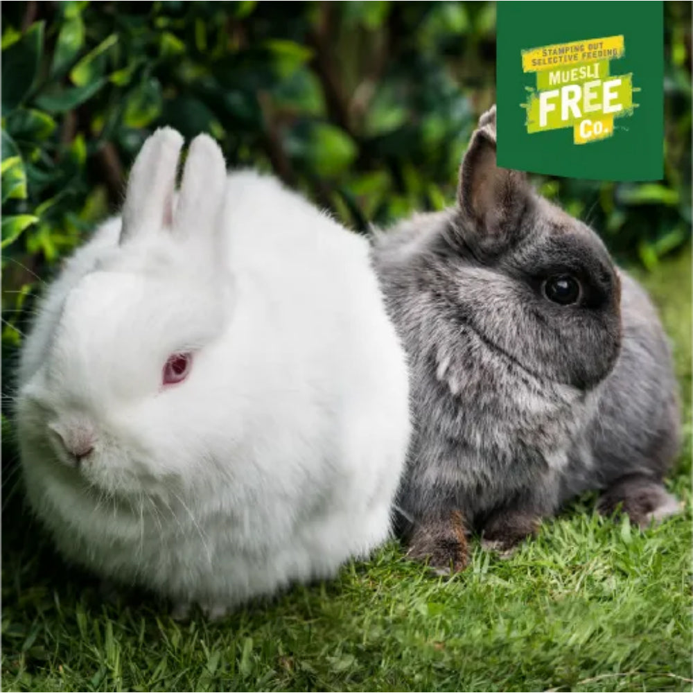 BURGESS Excel Junior and Dwarf Rabbit Nuggets with Mint 1.5kg