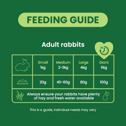 BURGESS Excel Adult Rabbit Nuggets with Mint 10kg