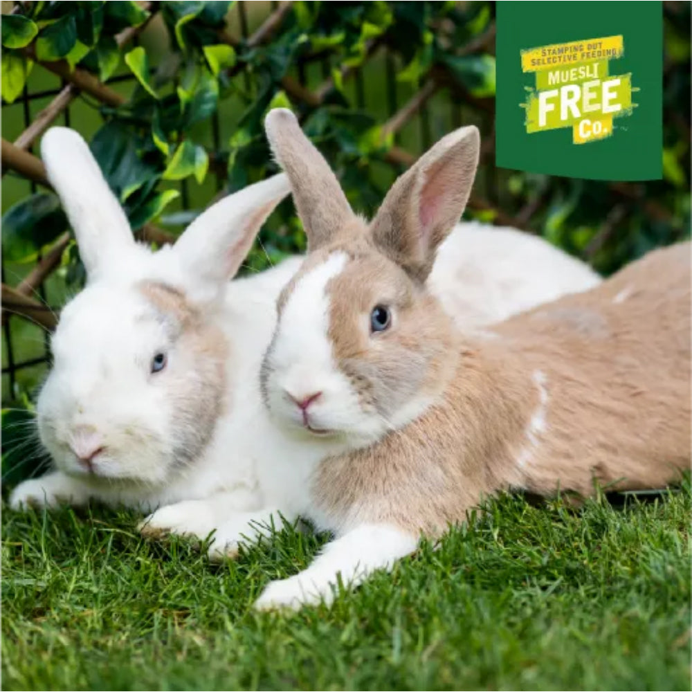 BURGESS Excel Adult Rabbit Nuggets with Mint 10kg