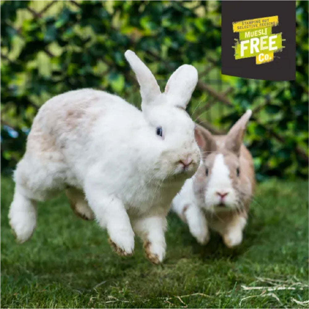 BURGESS Excel Natures Blend Adult Rabbit Food with Hedgerow Herbs 1.5kg