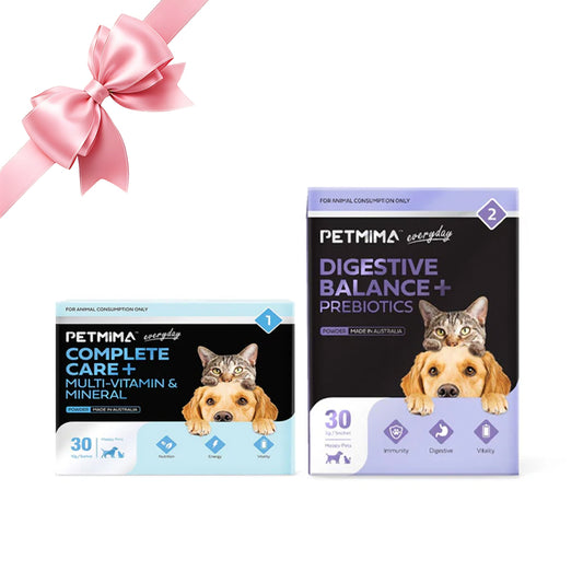 PETMIMA Treasure Chest