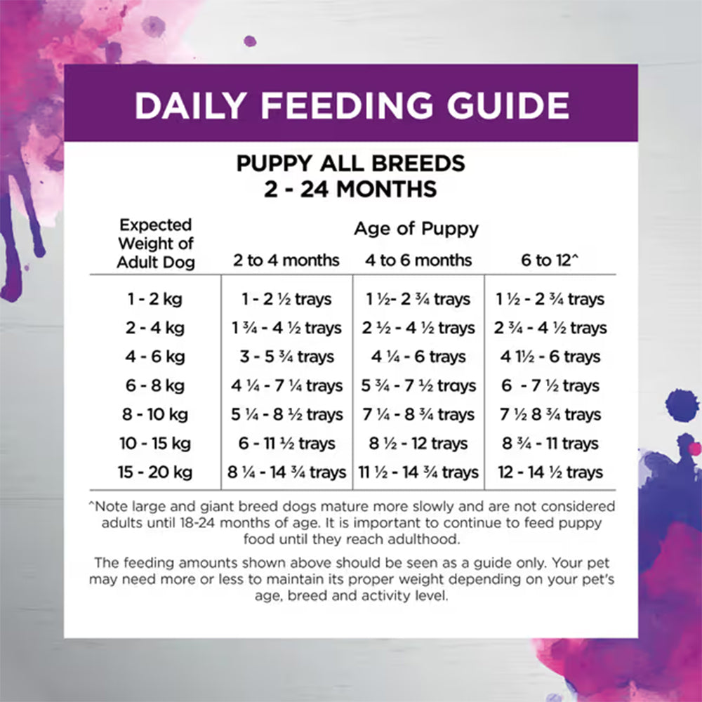 IVORY COAT Inspired By Raw Immunity Wet Puppy Food 100g x 9