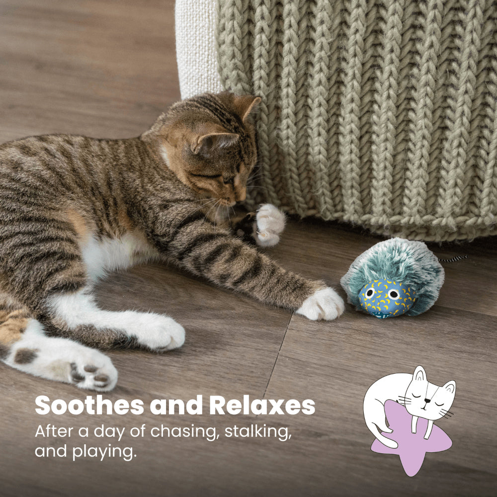 PETSTAGES Nighttime Cuddle Cat Toy