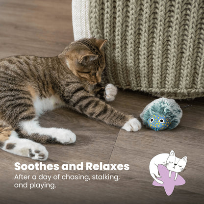 PETSTAGES Nighttime Cuddle Cat Toy