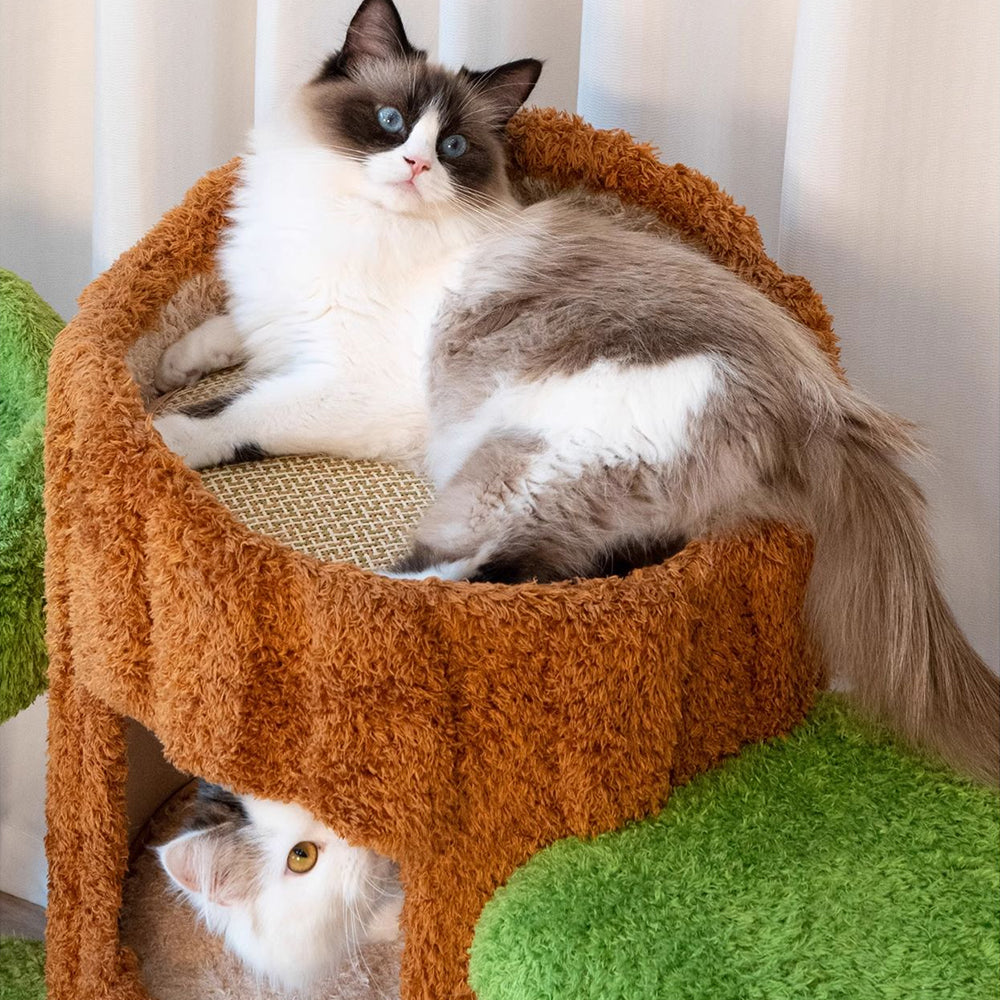 CMISSTREE Five-Level Tree Hollow Solid Wood Cat Tree