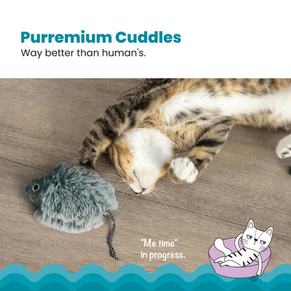 PETSTAGES Nighttime Cuddle Cat Toy