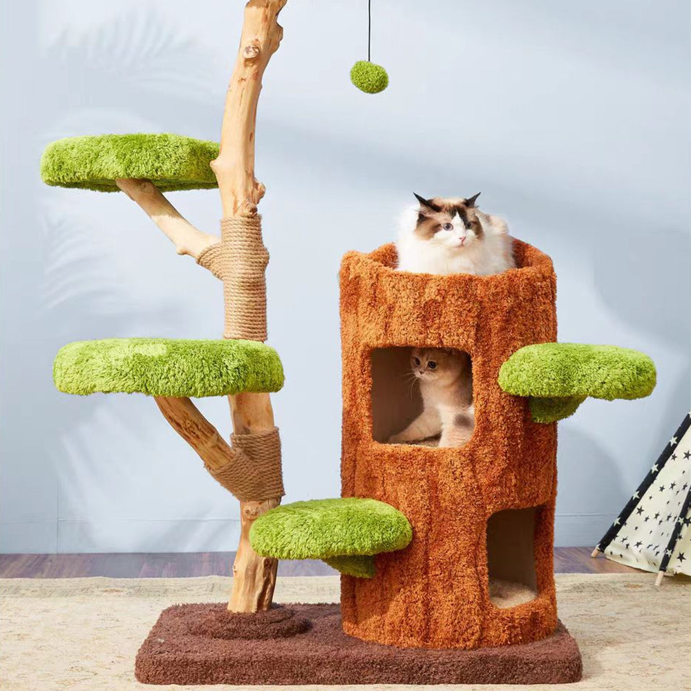 CMISSTREE Five-Level Tree Hollow Solid Wood Cat Tree