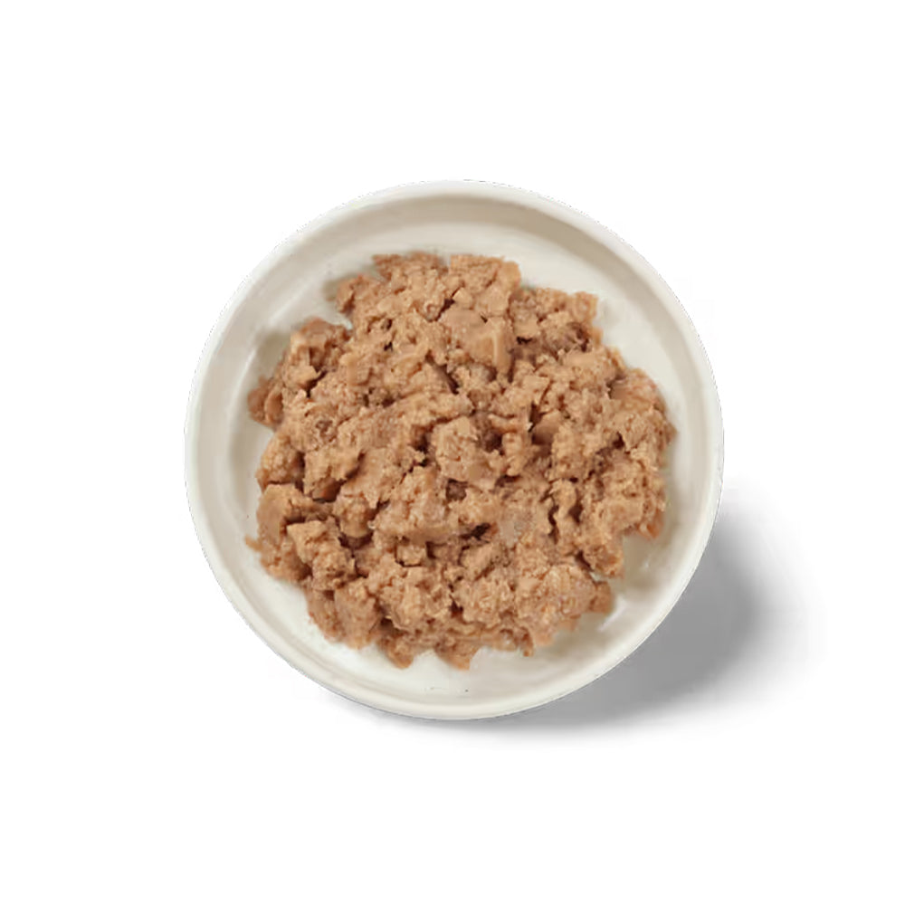 IVORY COAT Inspired By Raw Immunity Wet Puppy Food 100g x 9
