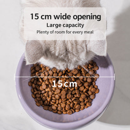 Ceramic Pet Bowl – Slanted, Neck-Friendly, Anti-Spill