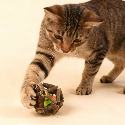 Catnip Ball Cat Interactive Toy with Bell