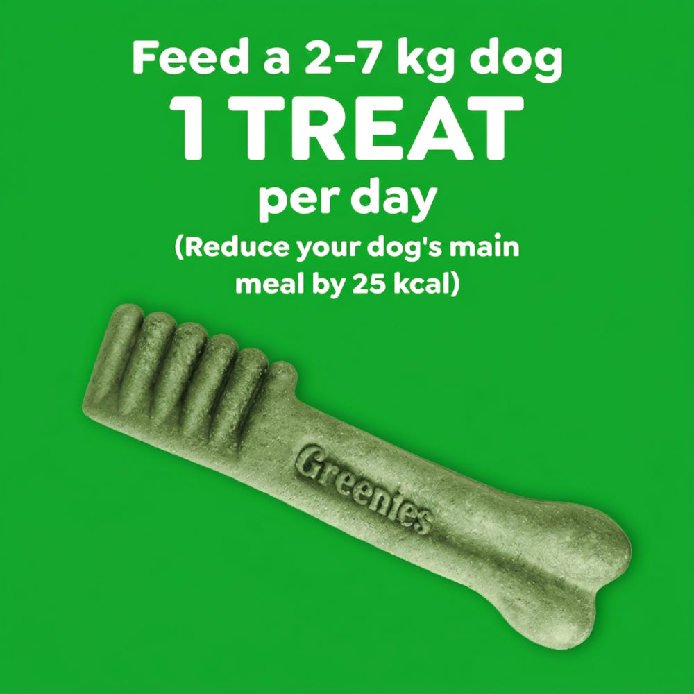 GREENIES Blueberry Teenie Dog Dental Treats 340g