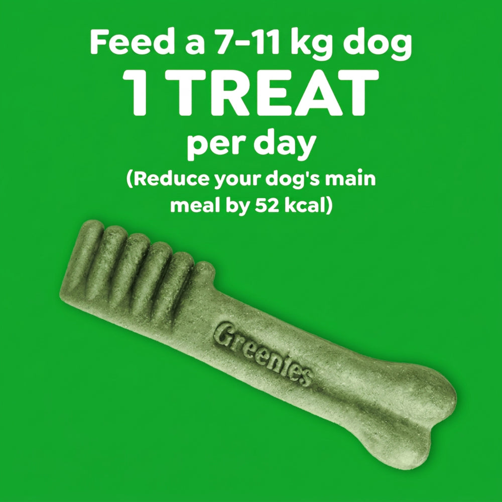 GREENIES Blueberry Petite Dog Dental Treats 340g